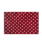 Stars Sandwich Eco Bag