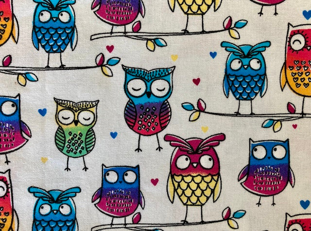 Friendly Owls in multi colors 