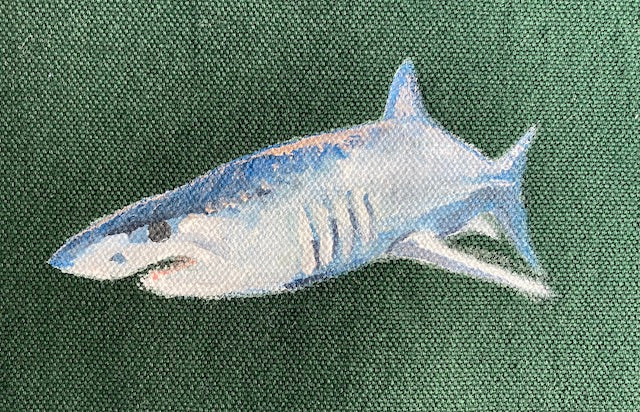 Short Fin Mako Shark